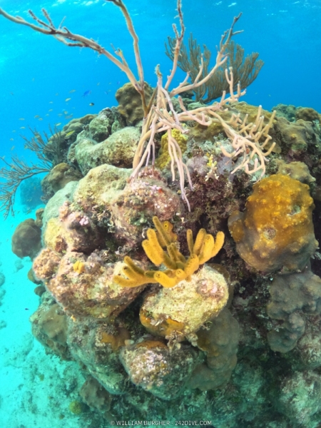 DCIM\100GOPRO\GOPR1311.JPG