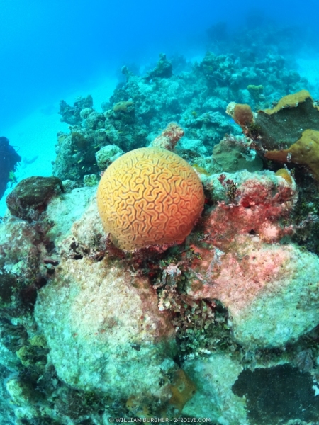 DCIM\100GOPRO\GOPR1264.JPG