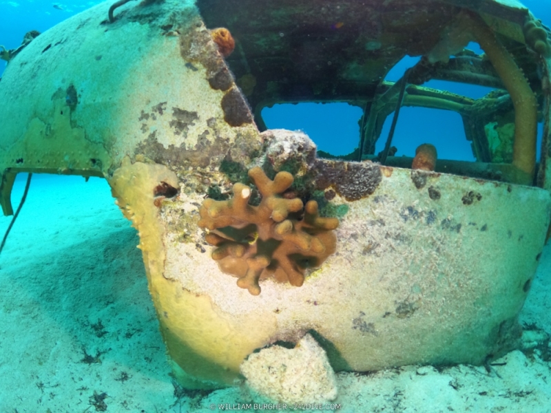 DCIM\100GOPRO\GOPR1328.JPG