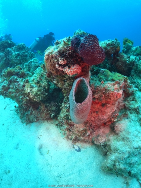 DCIM\100GOPRO\GOPR1263.JPG