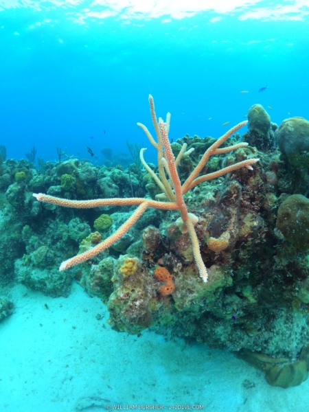DCIM\100GOPRO\GOPR1259.JPG