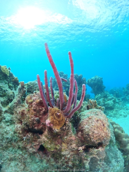 DCIM\100GOPRO\GOPR1256.JPG