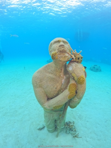 DCIM\100GOPRO\GOPR1241.JPG