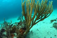 DCIM\100GOPRO\GOPR1426.JPG