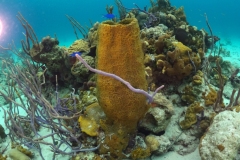 DCIM\100GOPRO\GOPR1388.JPG