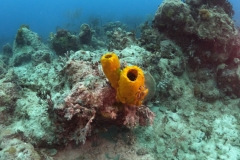 DCIM\100GOPRO\GOPR1538.JPG