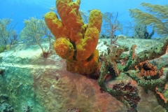 DCIM\100GOPRO\GOPR1671.JPG