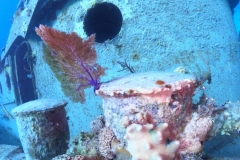 DCIM\100GOPRO\GOPR1663.JPG