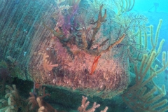 DCIM\100GOPRO\GOPR1659.JPG