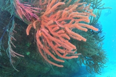 DCIM\100GOPRO\GOPR1658.JPG