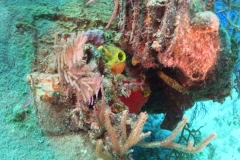 DCIM\100GOPRO\GOPR1654.JPG