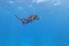 DCIM\100GOPRO\GOPR1694.JPG