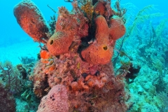 DCIM\100GOPRO\GOPR1651.JPG