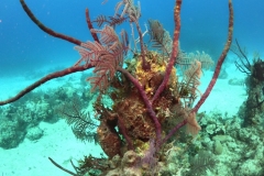 DCIM\100GOPRO\GOPR1645.JPG