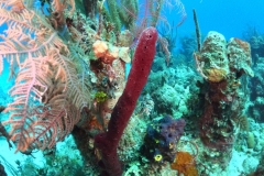 DCIM\100GOPRO\GOPR1643.JPG