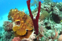 DCIM\100GOPRO\GOPR1641.JPG