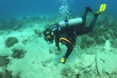 DCIM\100GOPRO\GOPR1634.JPG