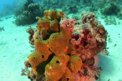 DCIM\100GOPRO\GOPR1626.JPG