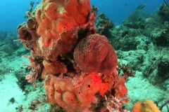 DCIM\100GOPRO\GOPR1624.JPG