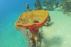 DCIM\100GOPRO\GOPR1615.JPG