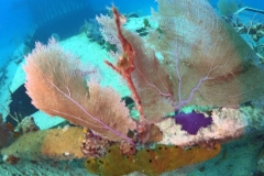 DCIM\100GOPRO\GOPR1605.JPG