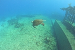 DCIM\100GOPRO\GOPR1585.JPG DCIM\100GOPRO\GOPR1585.JPG