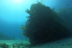 DCIM\100GOPRO\GOPR1566.JPG DCIM\100GOPRO\GOPR1566.JPG