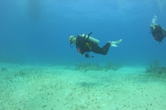 DCIM\100GOPRO\GOPR1680.JPG