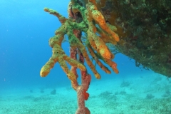 DCIM\100GOPRO\GOPR1676.JPG