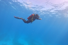 DCIM\100GOPRO\GOPR1695.JPG
