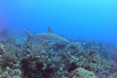 DCIM\101GOPRO\GOPR0012.JPG DCIM\101GOPRO\GOPR0012.JPG