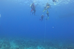 DCIM\101GOPRO\GOPR0087.JPG DCIM\101GOPRO\GOPR0087.JPG