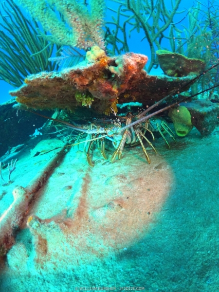 DCIM\100GOPRO\GOPR1088.JPG
