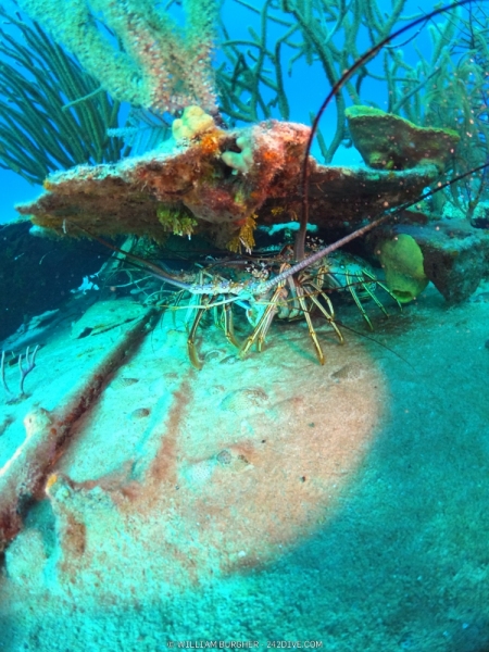 DCIM\100GOPRO\GOPR1087.JPG