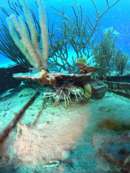 DCIM\100GOPRO\GOPR1085.JPG