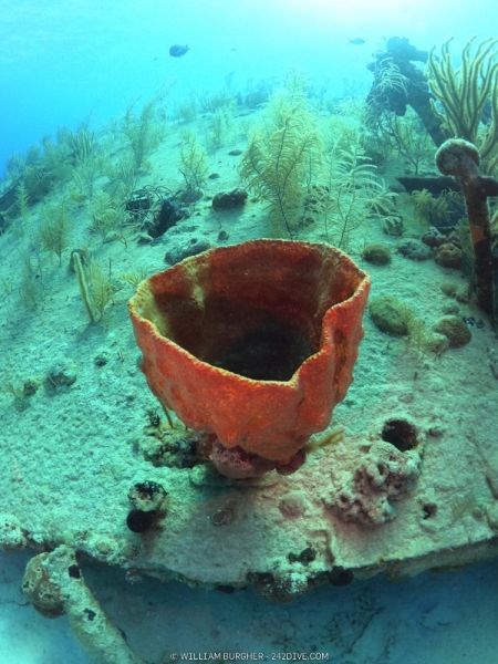 DCIM\100GOPRO\GOPR1083.JPG