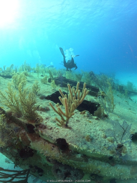 DCIM\100GOPRO\GOPR1079.JPG