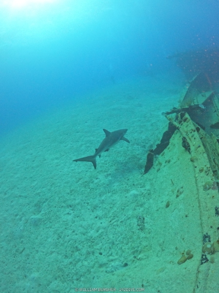 DCIM\100GOPRO\GOPR1074.JPG