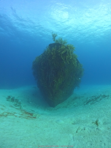 DCIM\100GOPRO\GOPR1043.JPG