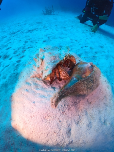 DCIM\100GOPRO\GOPR1038.JPG
