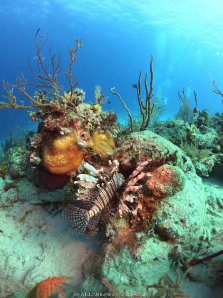 DCIM\100GOPRO\GOPR1031.JPG