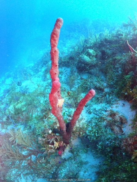 DCIM\100GOPRO\GOPR1022.JPG