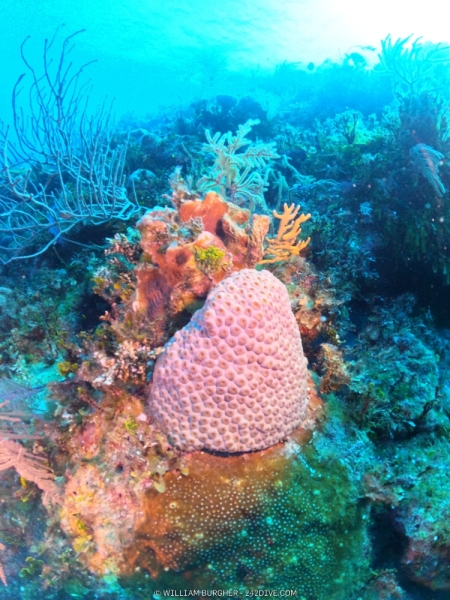 DCIM\100GOPRO\GOPR1016.JPG