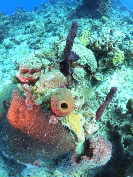 DCIM\100GOPRO\GOPR1192.JPG