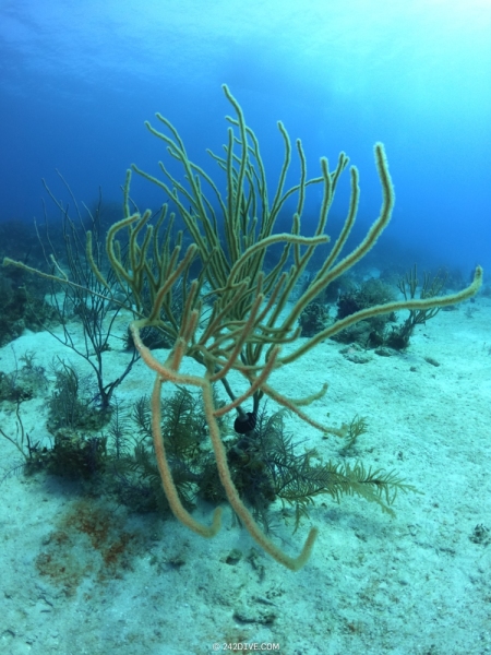 DCIM\100GOPRO\GOPR1180.JPG
