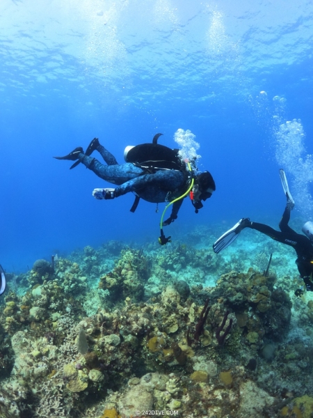 DCIM\100GOPRO\GOPR1251.JPG