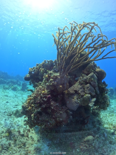 DCIM\100GOPRO\GOPR1242.JPG