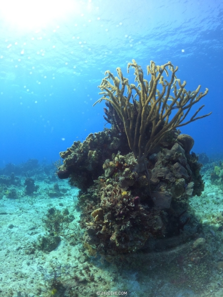 DCIM\100GOPRO\GOPR1241.JPG