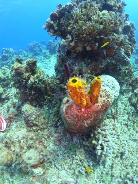 DCIM\100GOPRO\GOPR1223.JPG