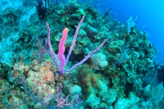DCIM\101GOPRO\GOPR1338.JPG